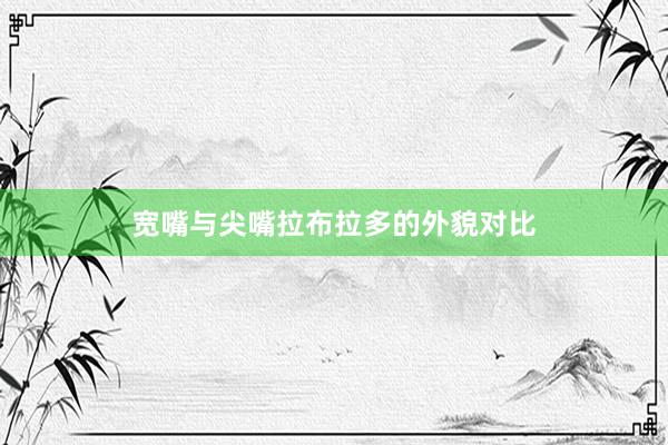 宽嘴与尖嘴拉布拉多的外貌对比