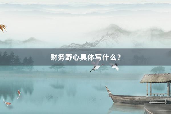 财务野心具体写什么?